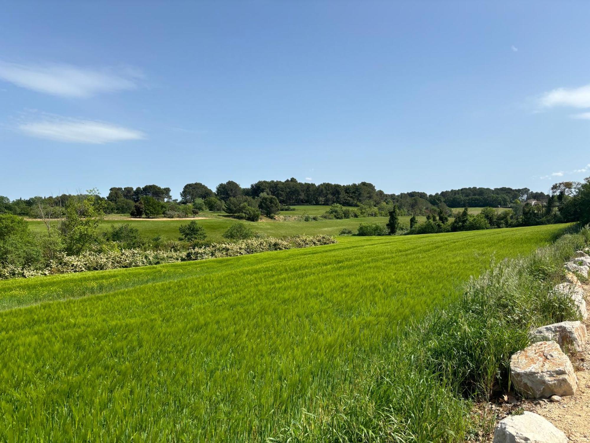 Havre De Paix Au Sein D'Un T3 D'Une Bastide Aixoise Экс-ан-Прованс Экстерьер фото